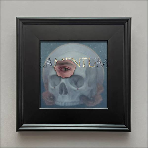 Lamentum by Genevive Zacconi, Image 4.