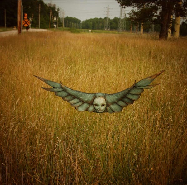 Albatross 3 by Scott Radke, Image 9.