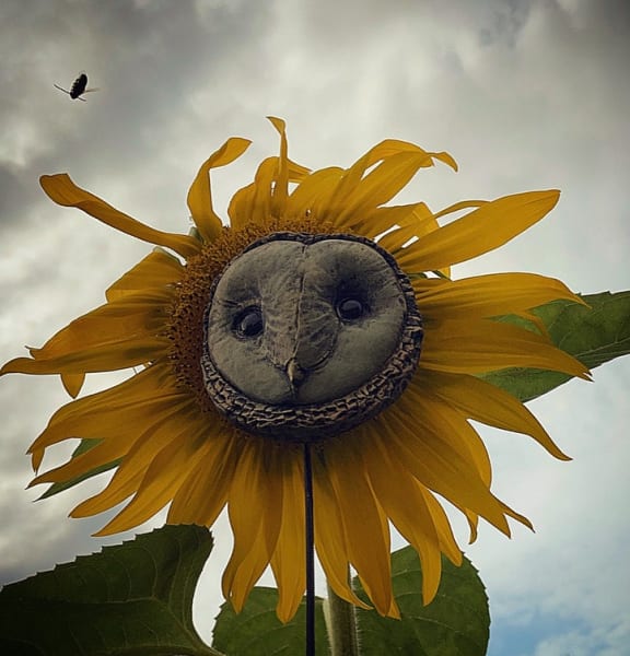 Martin Owl by Scott Radke, Image 3.