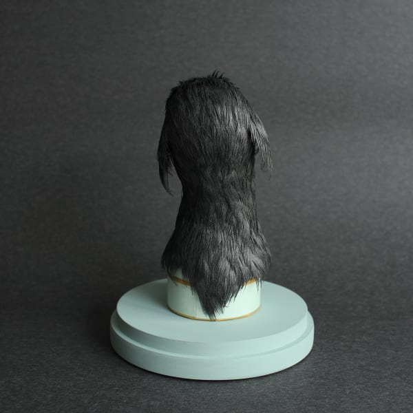 A Rare & Dubious Thing by Alexandra Lukaschewitz, Image 3.