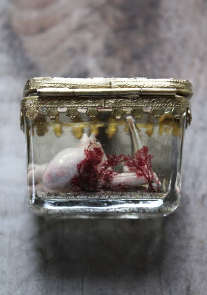 Bottled Recollections by Alexis Savopoulos, Image 3.