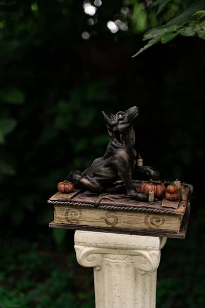Shooting the Moon by Shelby Clark, Image 3.