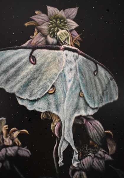 Lunar Transcendence by Brittany Johnson, Image 2.