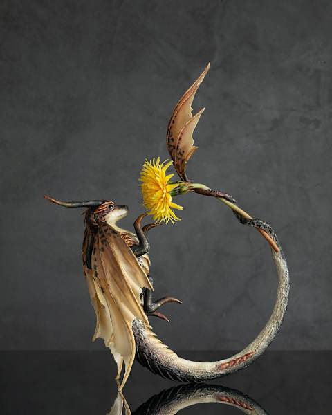 Touching summer by Karun Roma, Image 4.
