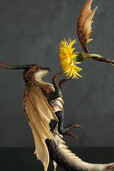 Touching summer by Karun Roma, Image 5.