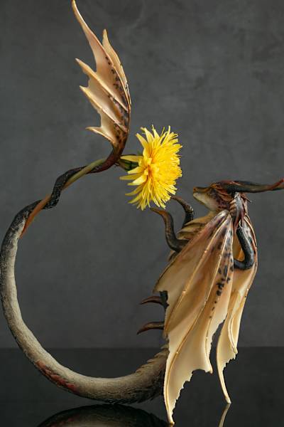 Touching summer by Karun Roma, Image 2.