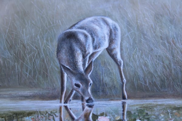 Reflection by Alexis Savopoulos, Image 7.