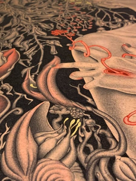 Galatia by Marni Fraser, Image 3.