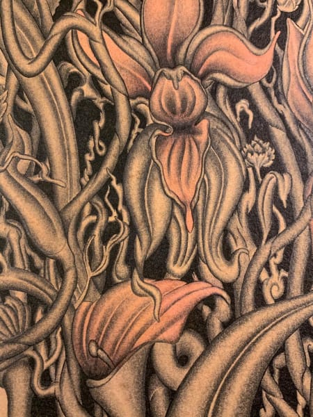 Galatia by Marni Fraser, Image 2.