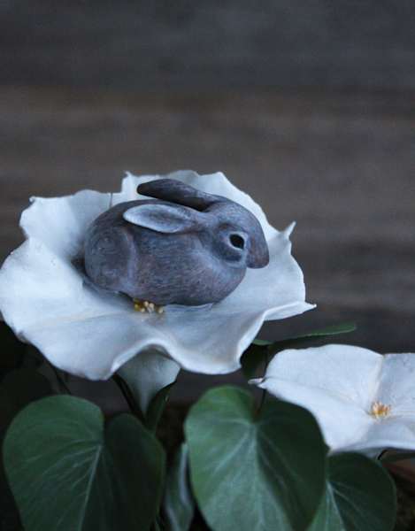 Hare in the Moonflower by Alexis Savopoulos, Image 4.