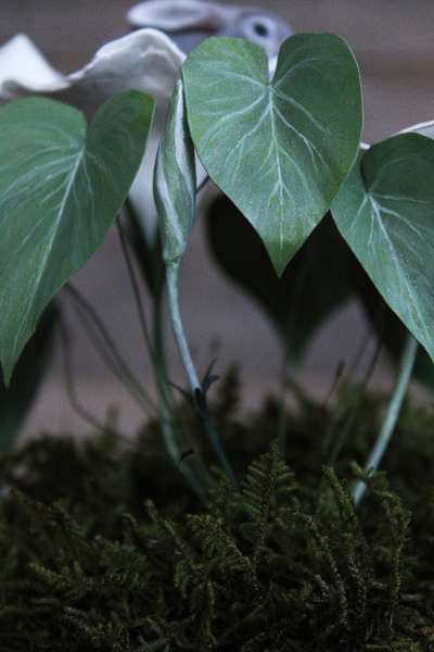 Hare in the Moonflower by Alexis Savopoulos, Image 6.