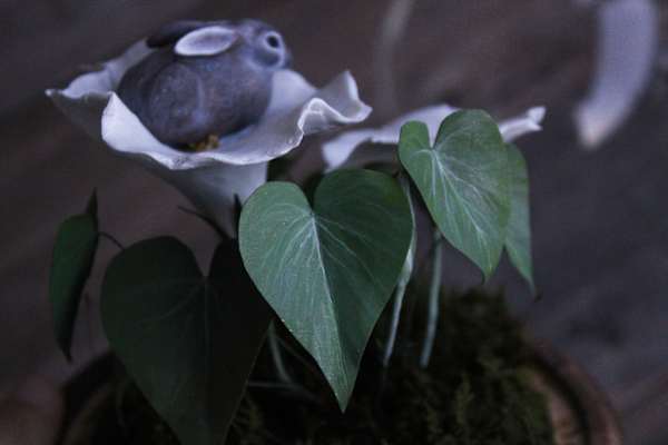 Hare in the Moonflower by Alexis Savopoulos, Image 8.