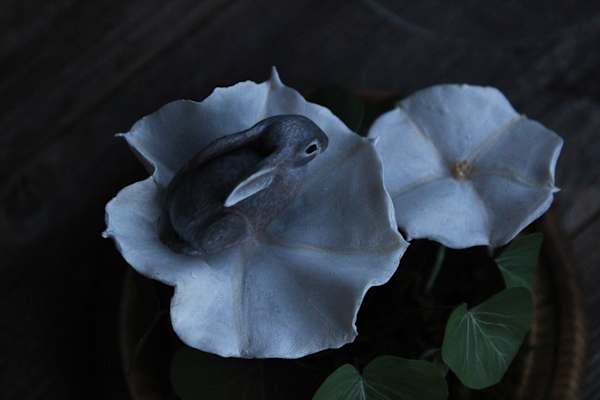 Hare in the Moonflower by Alexis Savopoulos, Image 9.