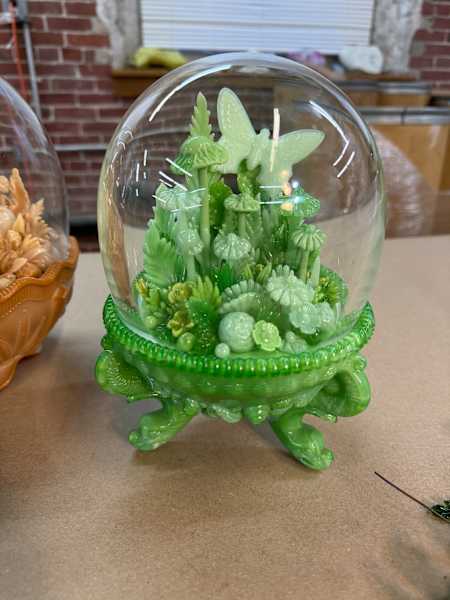 Butterfly in Argonaut by Amber Cowan, Image 1.