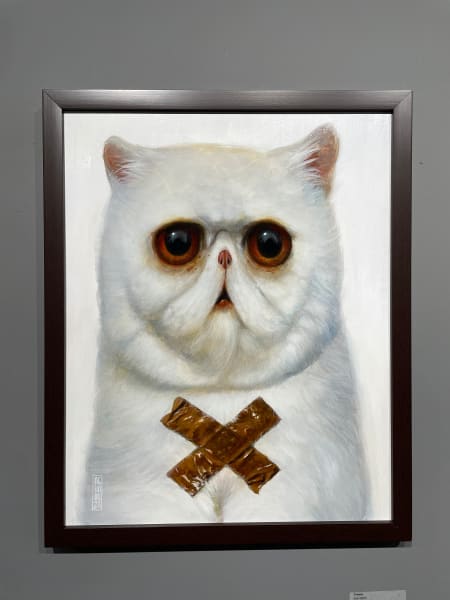 Cat with packing tape by Jesús Aguado, Image 2.