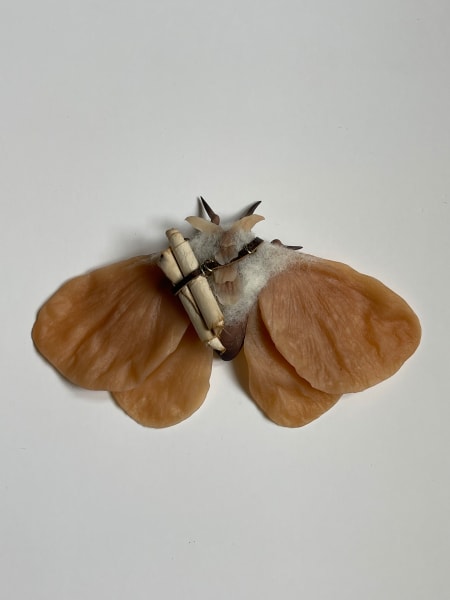 Seeker by Cheryl Lee, Image 5.