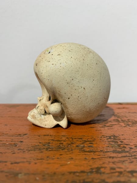 Lucky Skull by Kathie Olivas, Image 2.