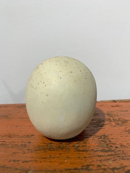 Lucky Skull by Kathie Olivas, Image 1.