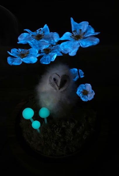 Innocence by Alexis Savopoulos, Image 9.