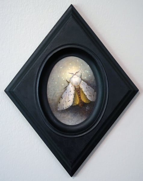 Rosy Maple Moth by Kaysha Siemens, Image 3.