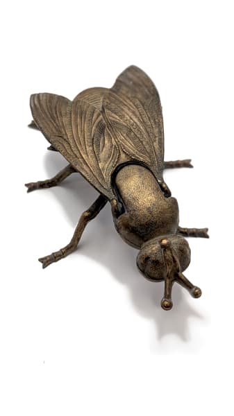 Fly Alaric by Shannon Taylor, Image 1.