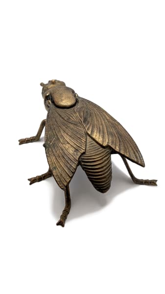 Fly Alaric by Shannon Taylor, Image 3.