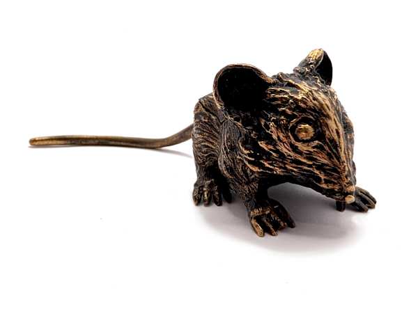 Field Mouse by Shannon Taylor, Ross Takahashi, Image 3.