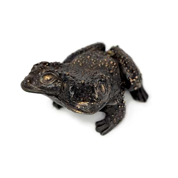 Swamp Toad by Shannon Taylor, Ross Takahashi, Image 1.