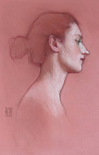 Sanguine Study in profile by Stephanie Rew, Image 2.