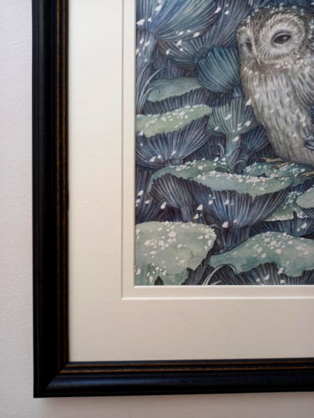 'The Milkcap Hide' by Adam Oehlers, Image 2.