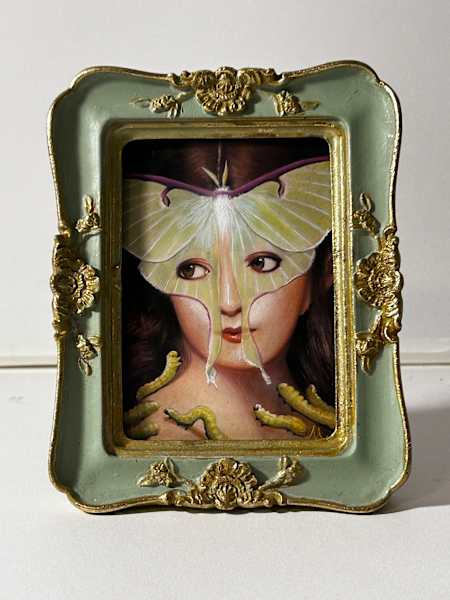 Luna Moth by Bill Mayer, Image 2.