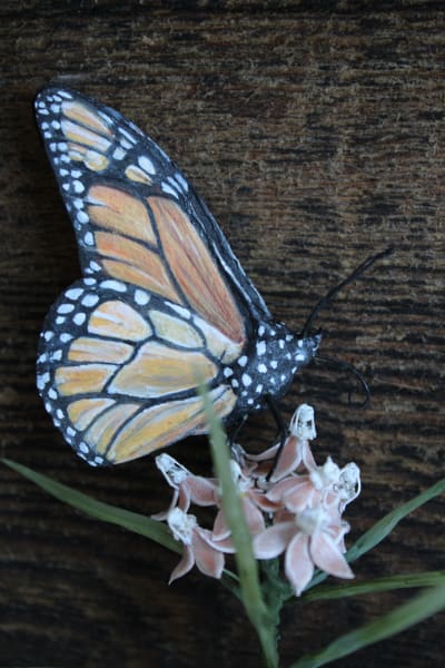 Transformation by Alexis Savopoulos, Image 2.