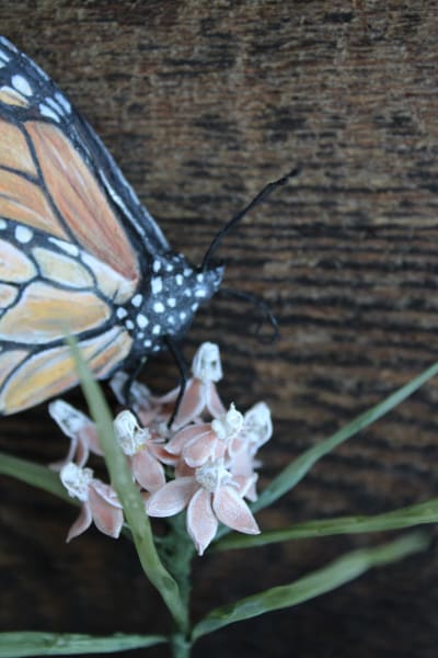 Transformation by Alexis Savopoulos, Image 3.