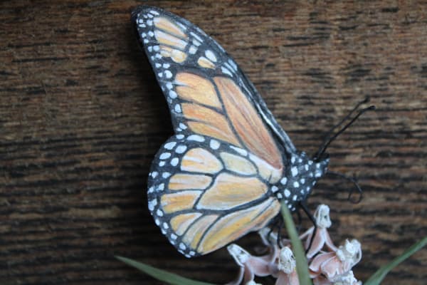 Transformation by Alexis Savopoulos, Image 5.