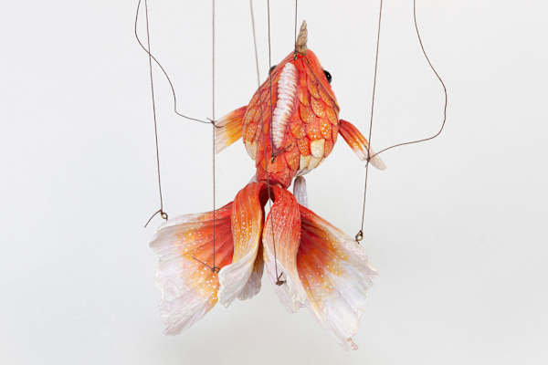 Unicorn Goldfish (Sarasa) by Mikazuki Futatsu, Image 2.