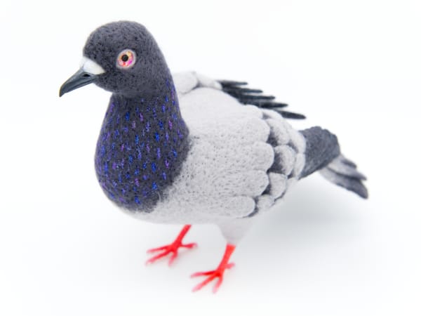 NYC Pigeon by Zoë Williams, Image 2.