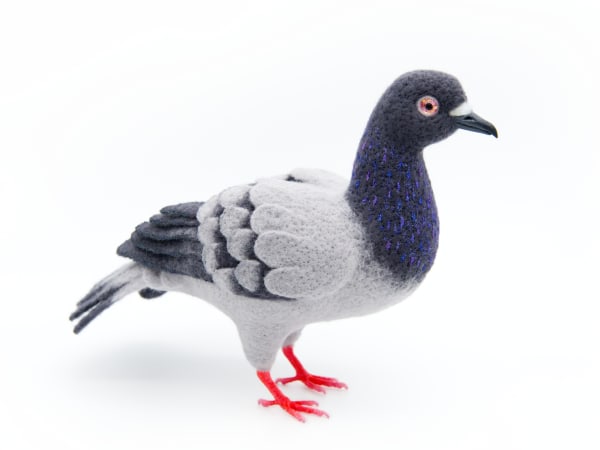 NYC Pigeon by Zoë Williams, Image 11.
