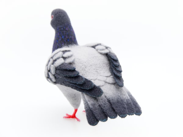 NYC Pigeon by Zoë Williams, Image 3.