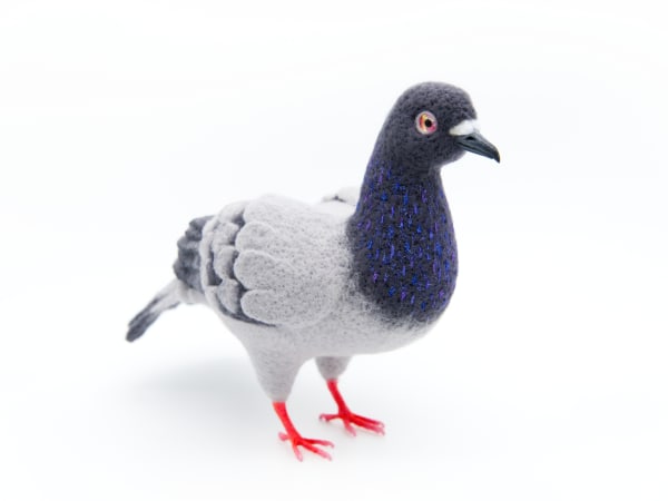 NYC Pigeon by Zoë Williams, Image 6.