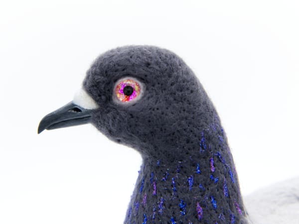 NYC Pigeon by Zoë Williams, Image 7.