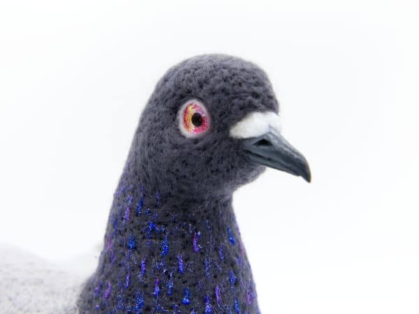 NYC Pigeon by Zoë Williams, Image 8.
