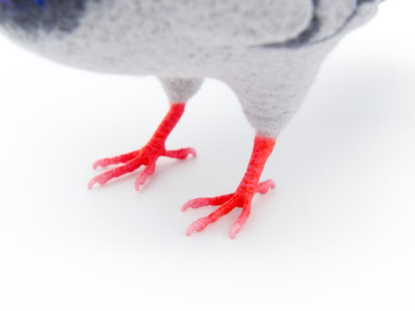 NYC Pigeon by Zoë Williams, Image 10.