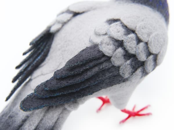 NYC Pigeon by Zoë Williams, Image 13.