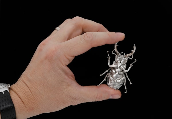 The Beatle by Christopher Conte, Image 2.