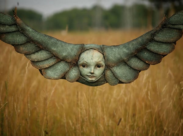 Albatross 1 by Scott Radke, Image 8.