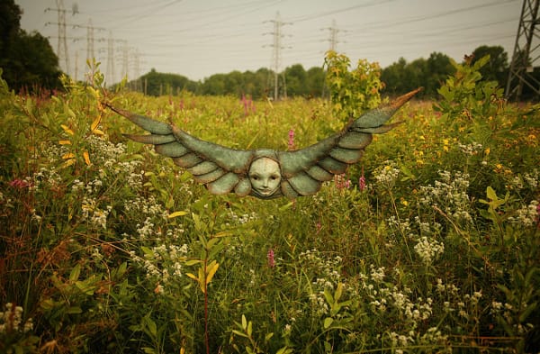 Albatross 1 by Scott Radke, Image 7.