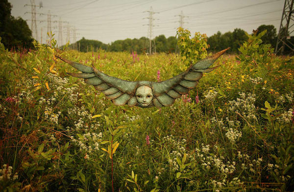 Albatross 3 by Scott Radke, Image 3.