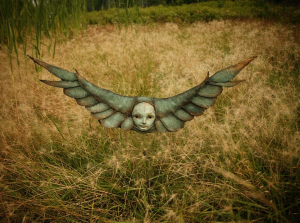 Albatross 3 by Scott Radke, Image 2.