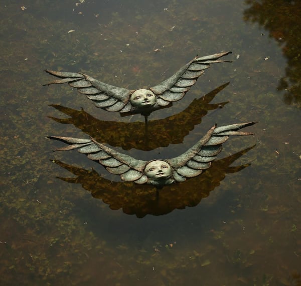 Albatross 1 by Scott Radke, Image 3.