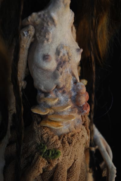 Anura saprophyte by Karly Perez, Image 3.